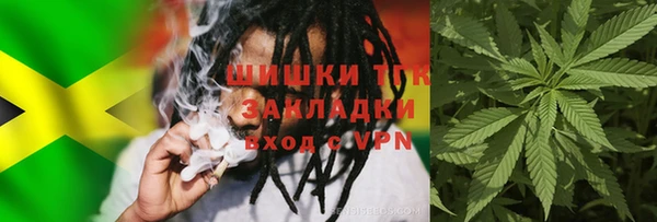 шишки Вяземский