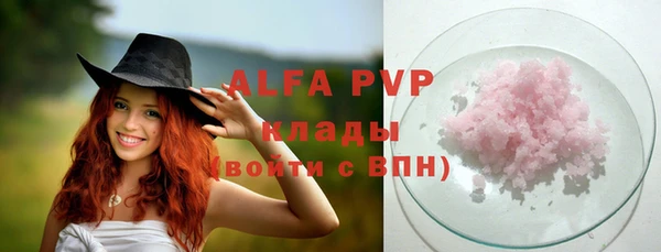гашик Вязьма