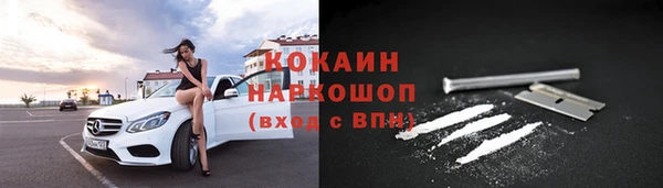 гашик Вязьма
