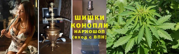 гашик Вязьма