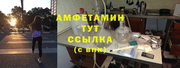 шишки Вяземский