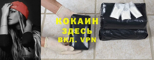 шишки Вяземский