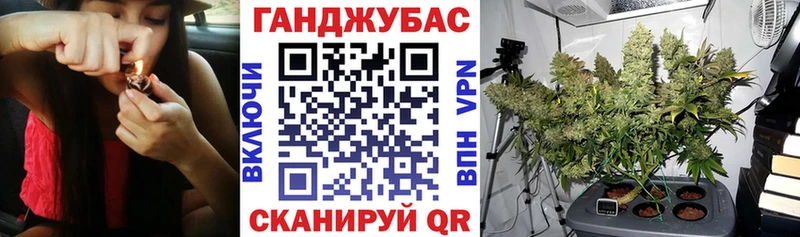 Бошки Шишки VHQ  Нея 